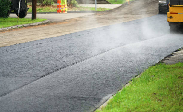 Best Local Driveway Pavers  in Schertz, TX